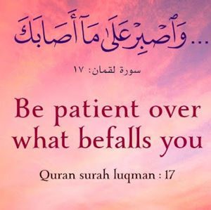 Meet your Posher, Hamida